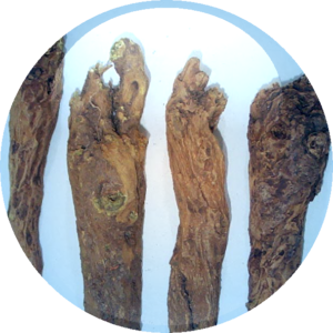 Chinese Saphora Root