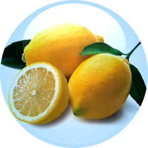 Citrus Fruit Extract