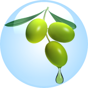 Olive Fruit Oil