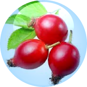 Rosehip Fruit Oil
